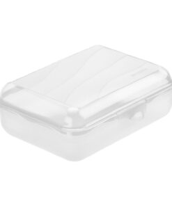 Rotho Fun Lunchbox 1.25L Transparant