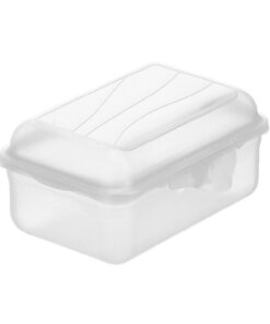 Rotho Fun Lunchbox 0.4L Transparant
