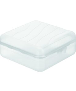 Rotho Fun Lunchbox Vierkant 2.35L Transparant